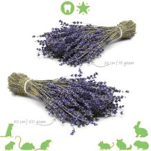 Gedroogde lavendel voor hamsterscaping