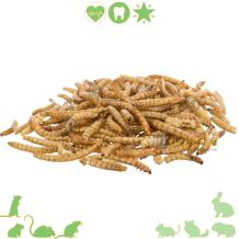 Gedroogde meelwormen 50 g