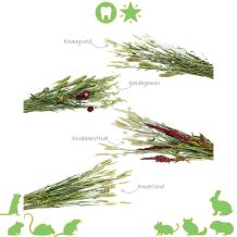 Gerbil Bouquet gedroogde gewassen voor knaagdier
