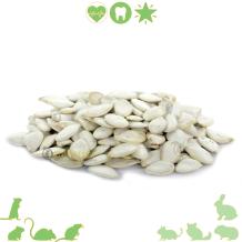 Pompoenpitten 40 gr