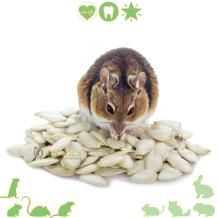 Pompoenpitten 40 gr