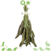 Gerbil Bouquet Groene Senegal Gierst