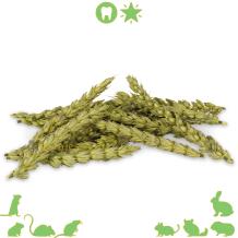 Tarwe aren 90 gram