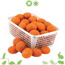 Wortelbroodje voor knaagdieren