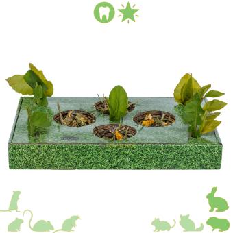 snackschaal voor konijn