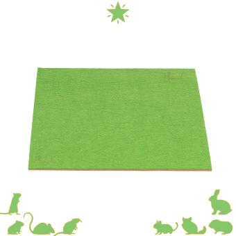 Omkeerbare terrarium mat met groene en oranje zijde