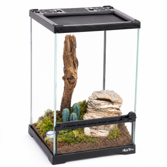 Glazen spinnen en insecten terrarium met openslaande deur