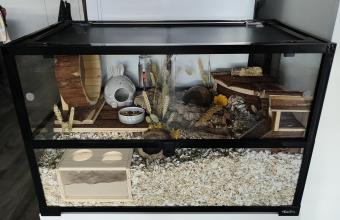 Glazen terrarium met afsluitbaar slot aan de voorzijde