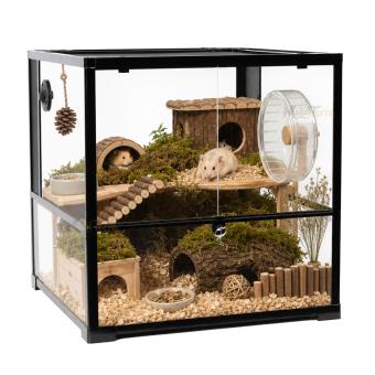 Knock down glazen terrarium 61 x 61 x 61 cm