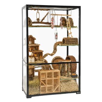 Hoog glazen terrarium van 75 x 40 x 100 cm
