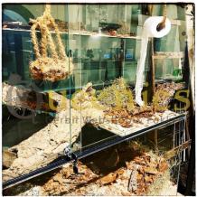 Terrariumslot voor schuifruiten