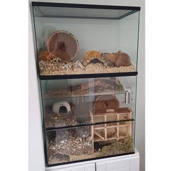 Tweedehands gerbilarium 60x40x60 met glazen opzetstuk voor gerbils