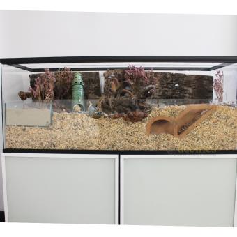 Tweedehands hamster terrarium 100x40x40 cm inclusief volledige inrichting