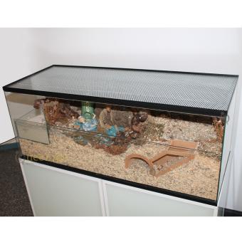 Glazen hamster terrarium met schuifruiten en diepe bodembedekking tweedehands