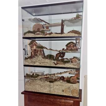 Premium terrarium met basis en opzetstuk 100x40x100 voor gerbils en andere knaagdieren