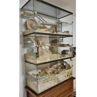 Tweedehands terrarium 100x40x100 premium met basis en opzetstuk voor knaagdieren