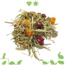 Gedroogde Gerbil bloemen mix