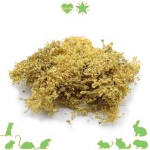 Vlierbesbloesem 100 gram