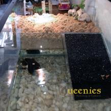 Schildpadden terrarium