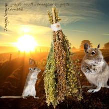 Zongedroogde grassen voor knaagdieren