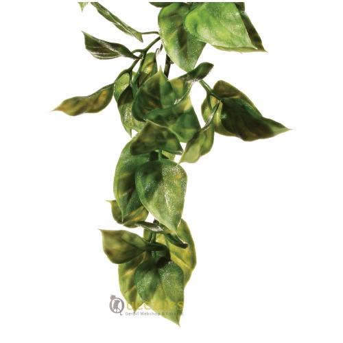 Jungle Plant voor terrarium