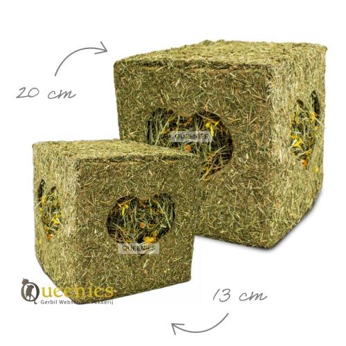 Ik Hou Van Hooi Knaagkubus