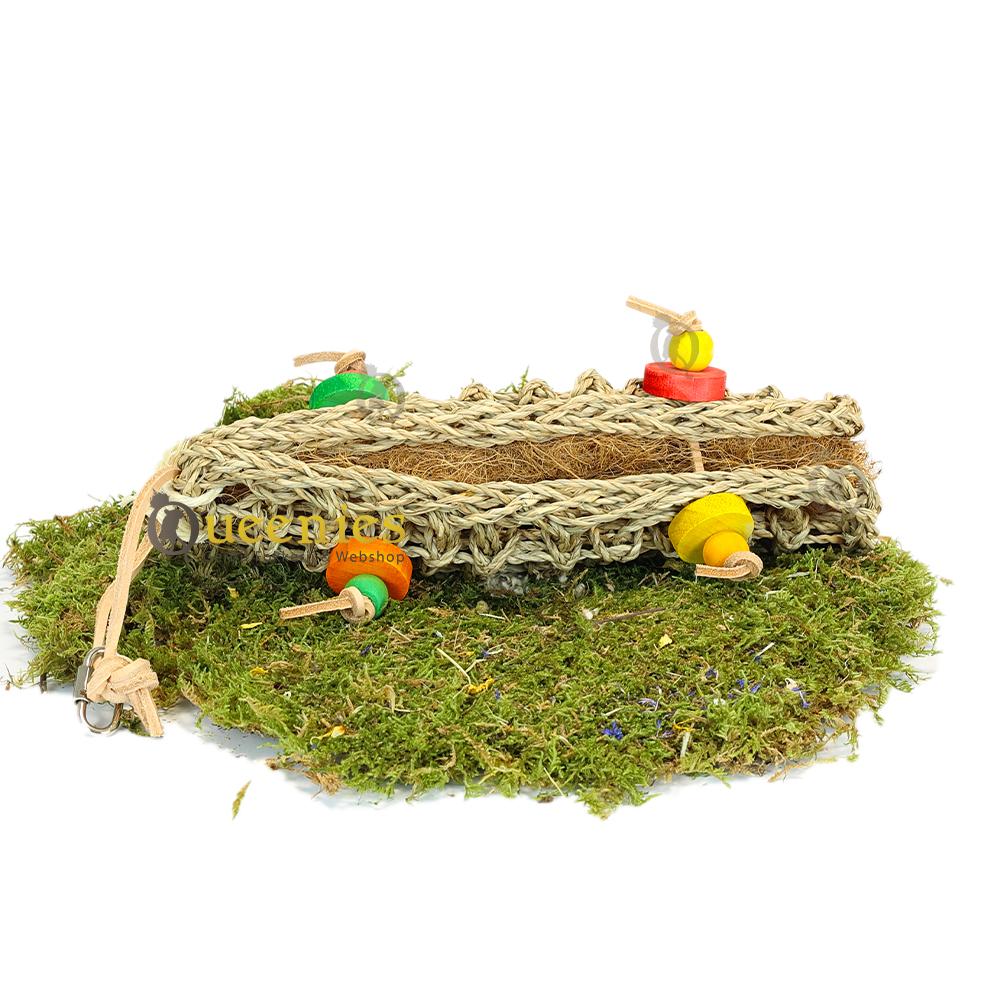 Gedroogd terrarium mos als aankleding van hamster speelgoed