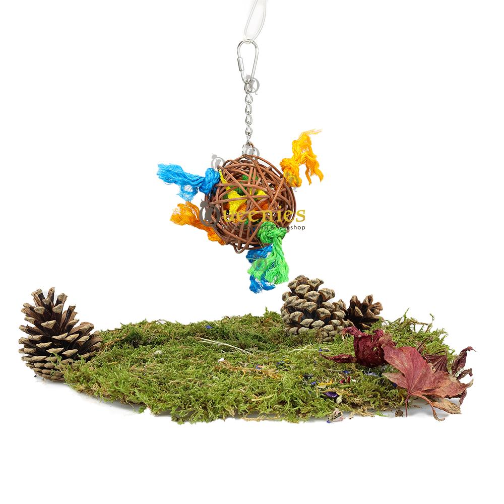 Gekleurde parkieten speelgoed bal met bel