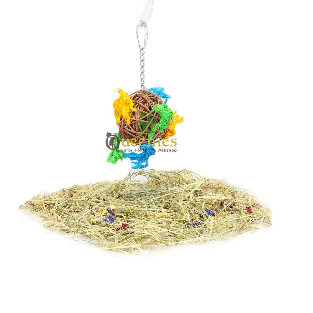 Parkieten speelgoed van wilgenballen