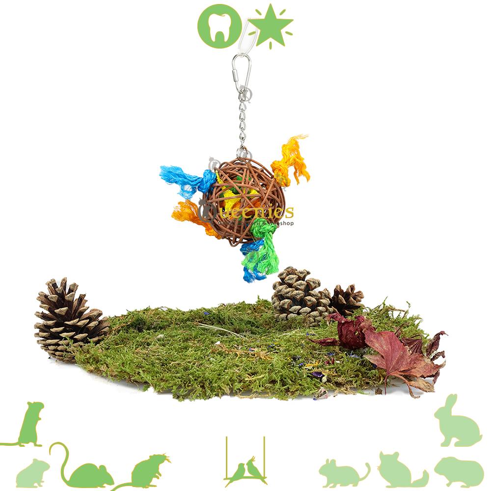 Knaagdier speelgoed met Wilgenballen