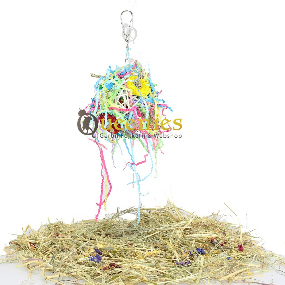 Muizen speelgoed met wilg en Sizzle