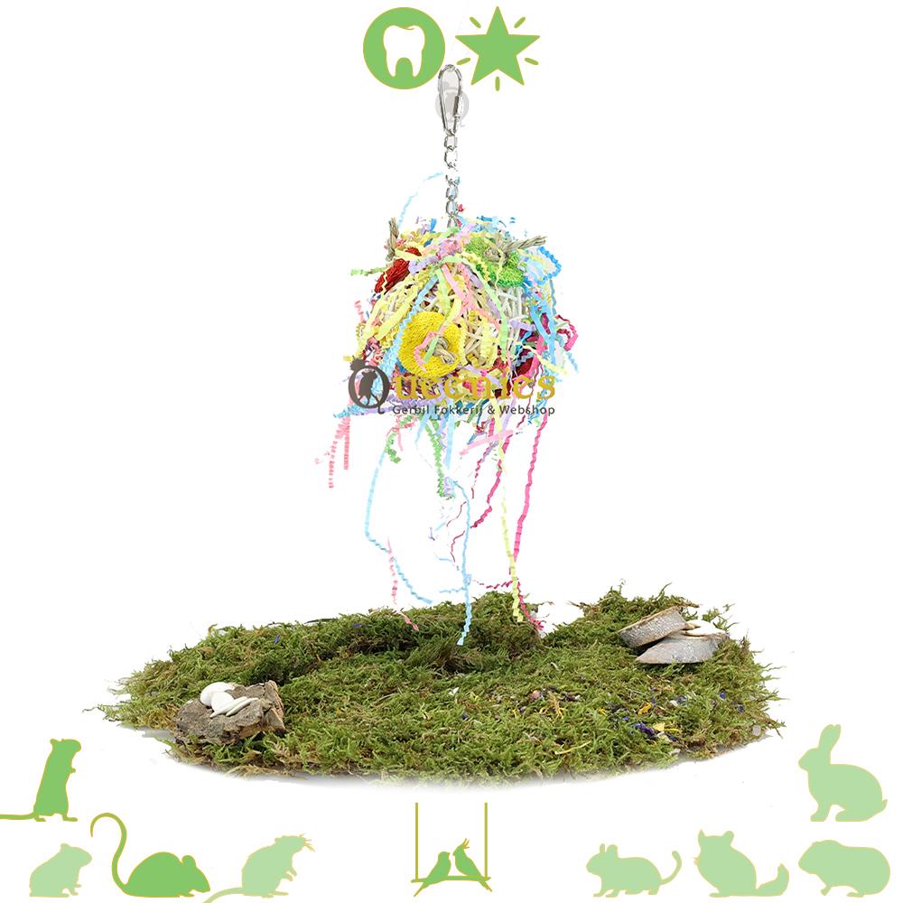 Vogelscape wilgbal voor Knaagdieren en Muizen