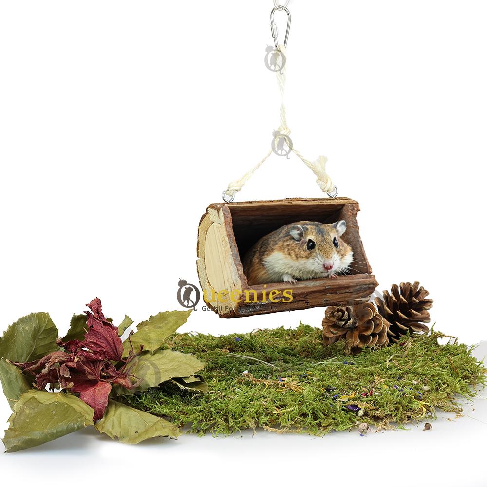 Goudhamster speelgoed met schommel