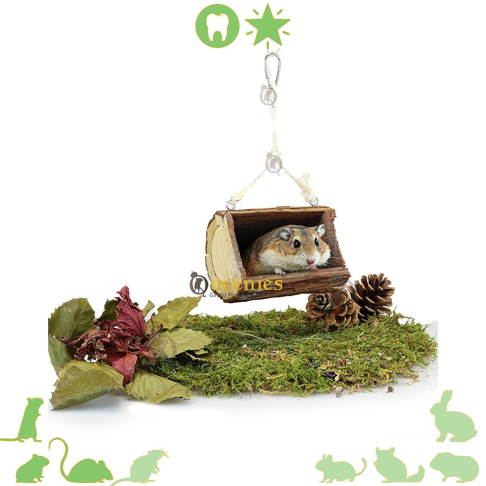 Hamster Speelgoed met de Schommel bank