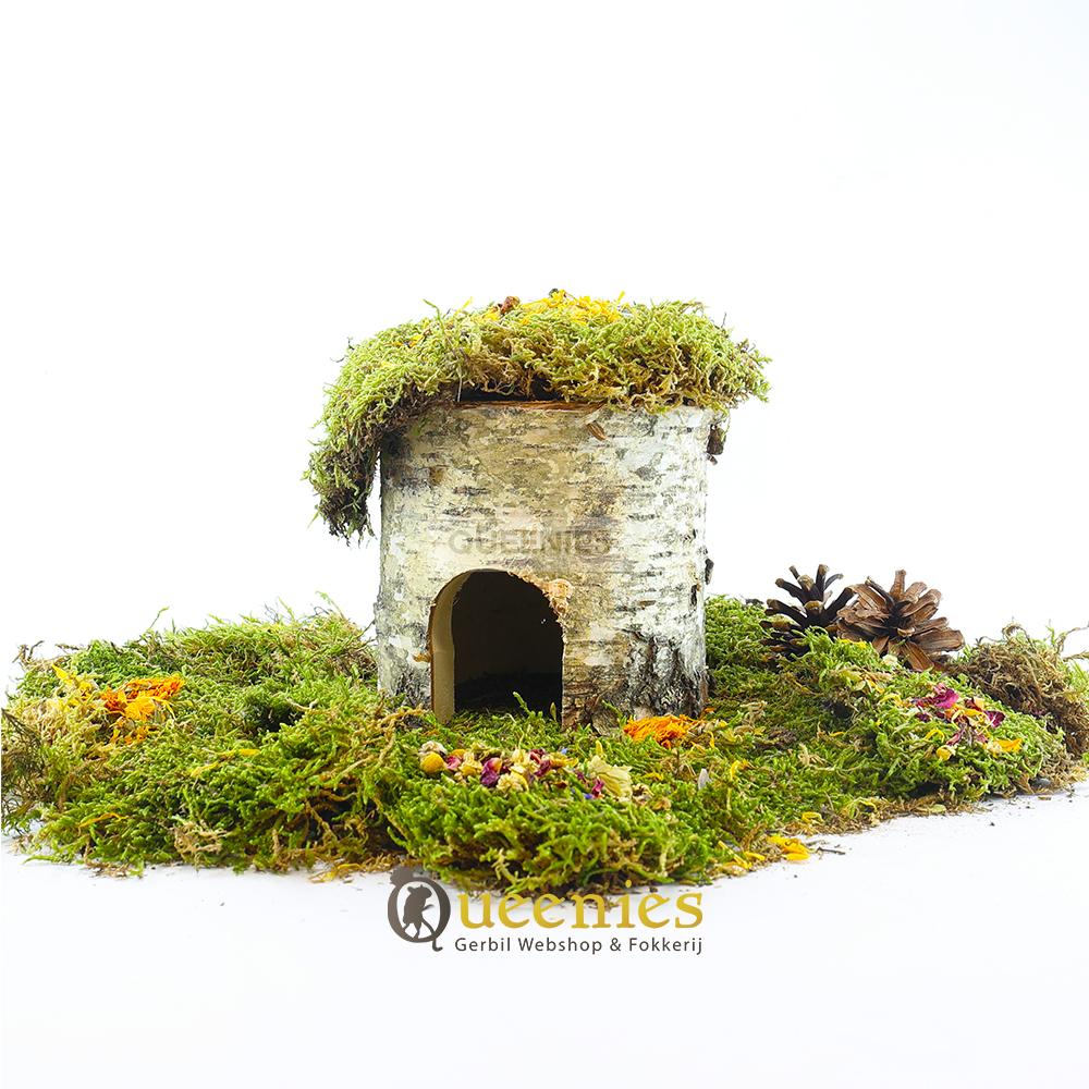 Berkenhuis voor hamster