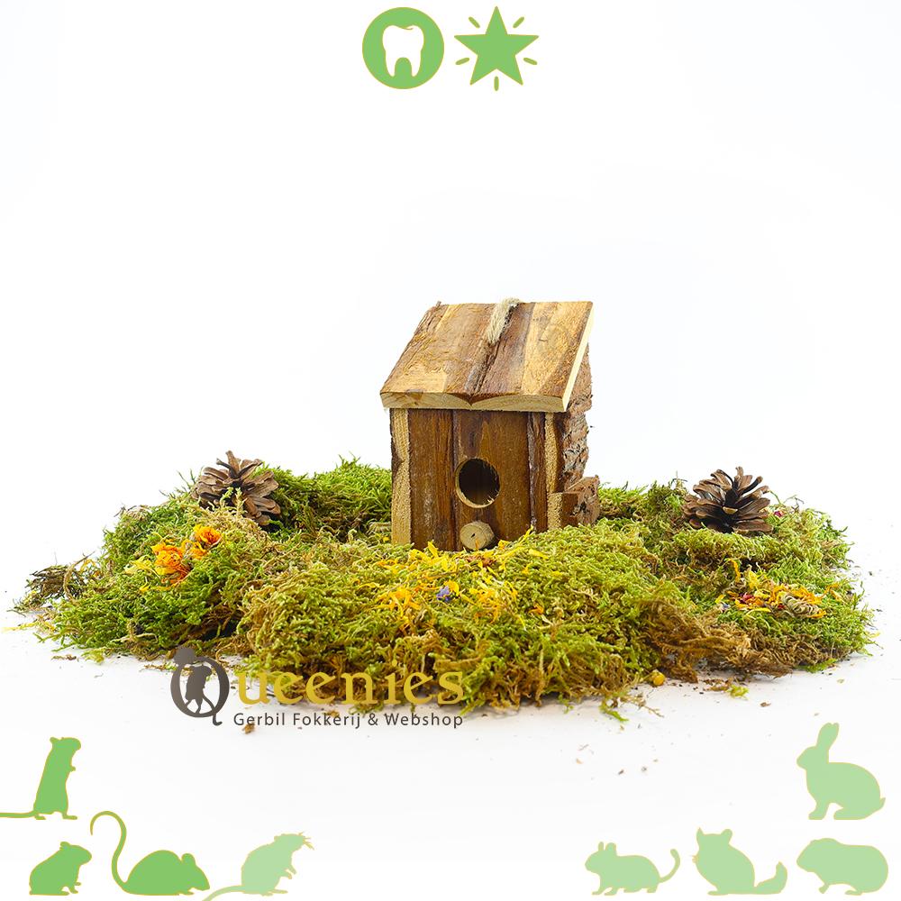Huis vierkant met schuin dak voor Kleine Knaagdieren