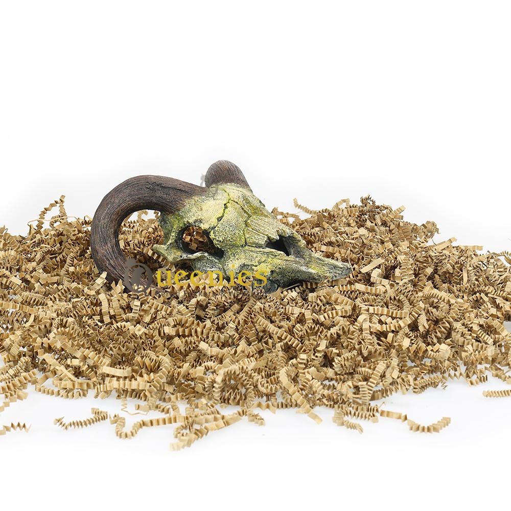 Nobby - Schedel van een Ram