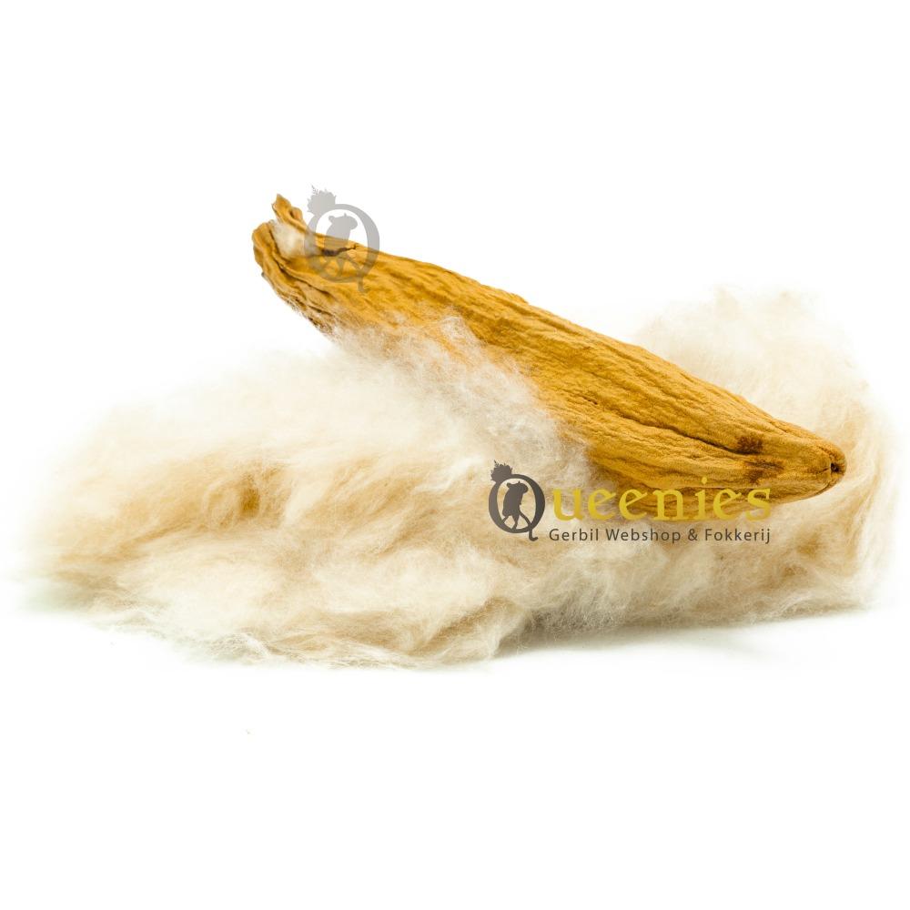 Kapoknoot voor gerbils