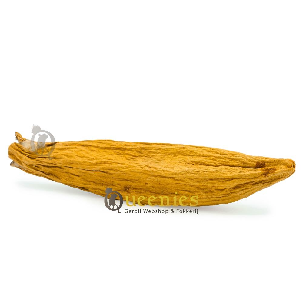 Kapok noot voor Knaagdieren