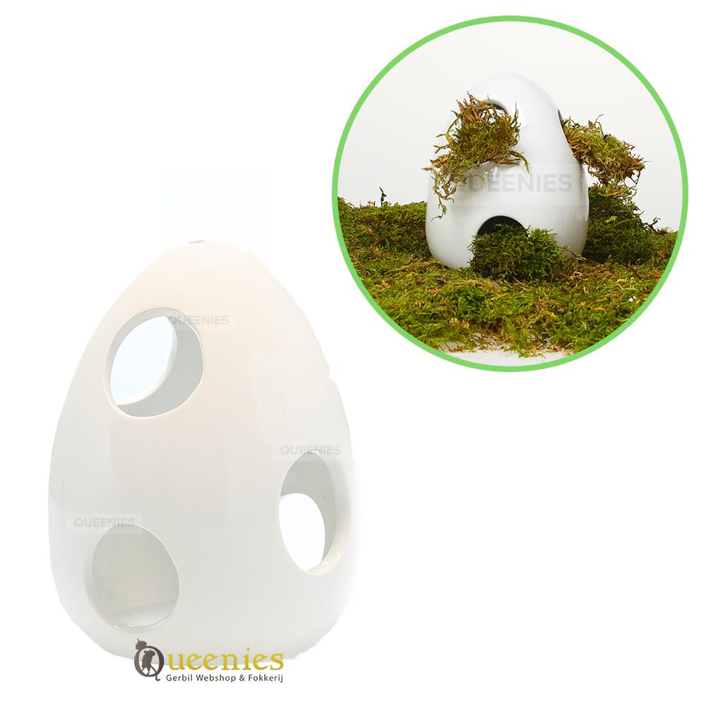 Verkoelend Keramiek Nesthuis voor Gerbils
