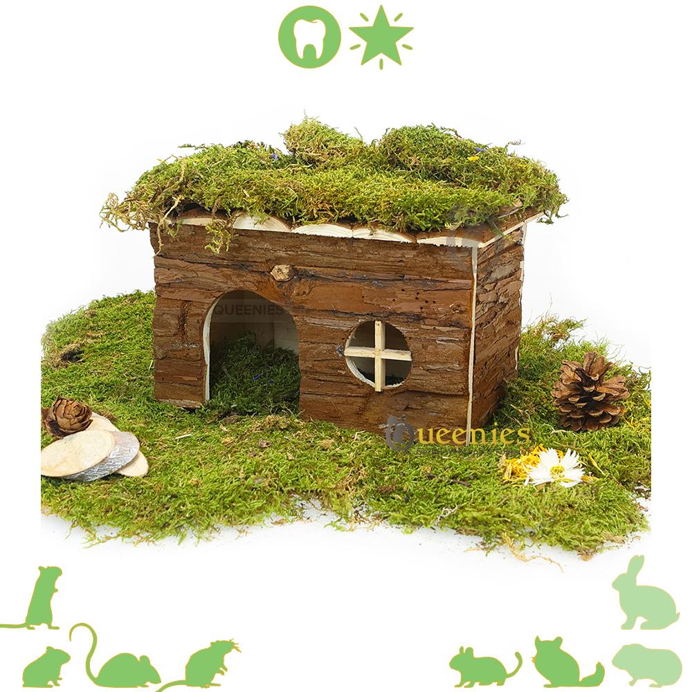 Knaagdierhuisje Jerrik 28 cm voor Degoes