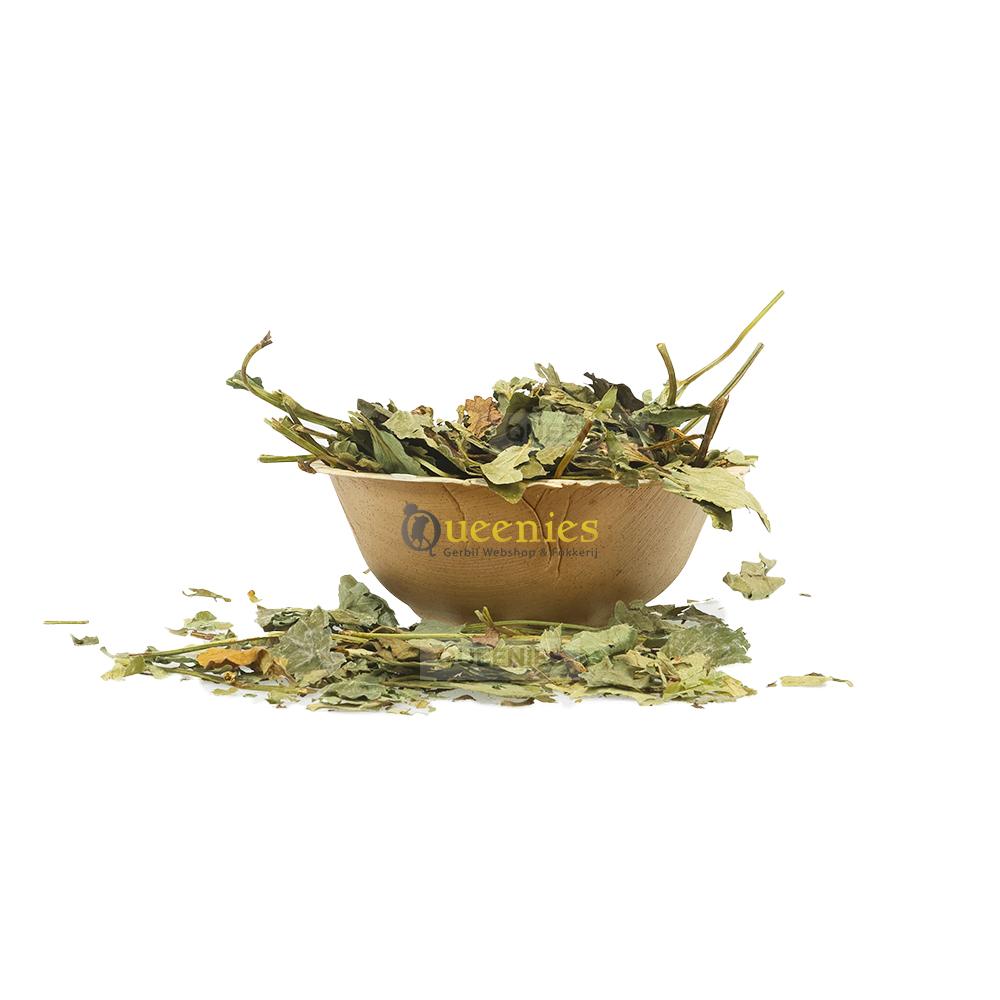 Dierenkruiden voor Hamsters en gerbils