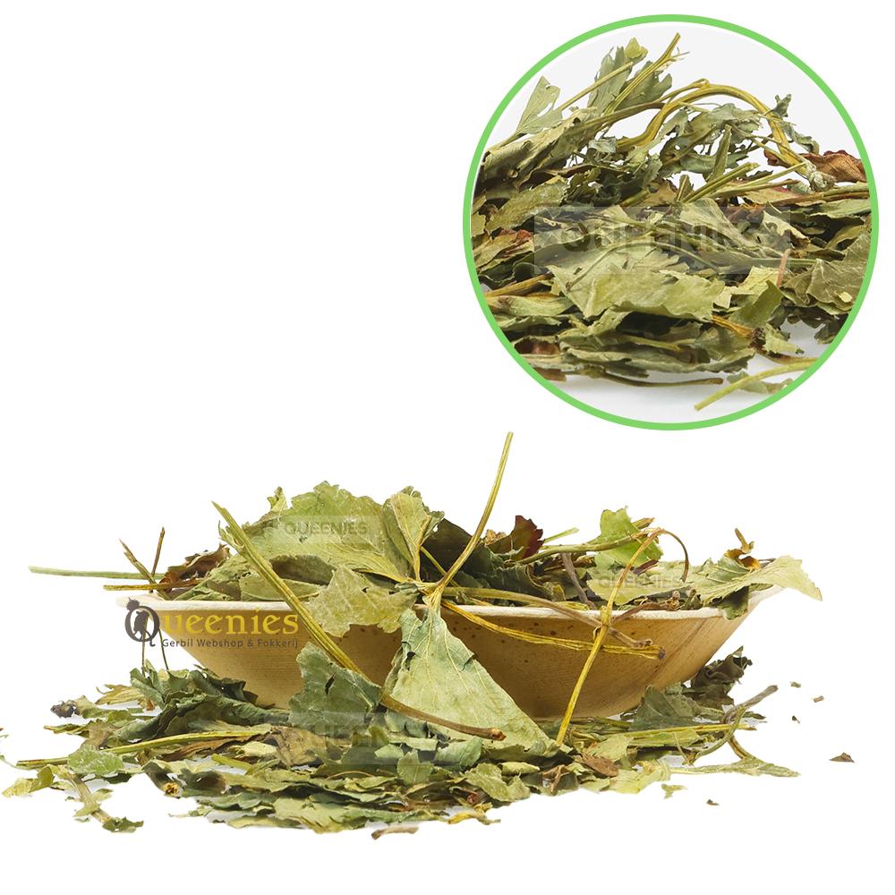 Degoe kruiden met aardbeibladeren