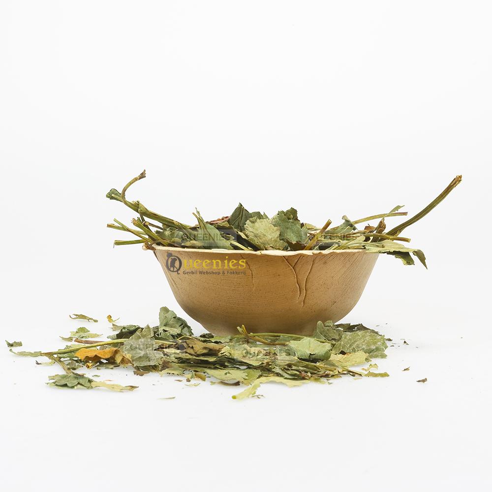 Dierenkruiden met aardbeibladeren voor Konijnen