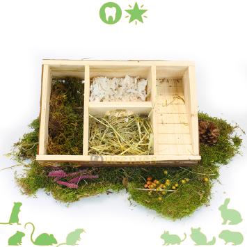 Labyrinthuis voor hamsters