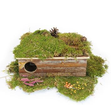 Labyrinthuis Leif knaagdieren speelhuis