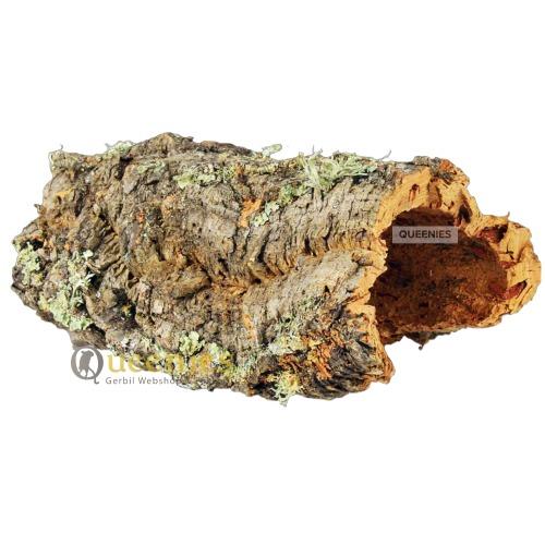 Kurkplaat in Terrarium voor natuurlijke uitstraling