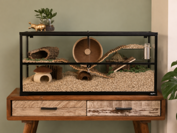 Knock Down 100x40x50 Gerbilarium met Plateaus