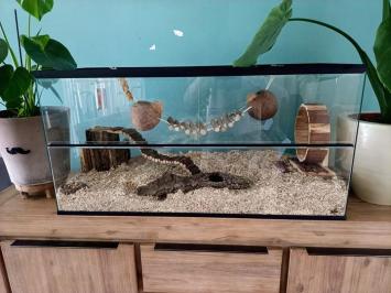 Tweedehands wit 100x45x50 Hamster Terrarium