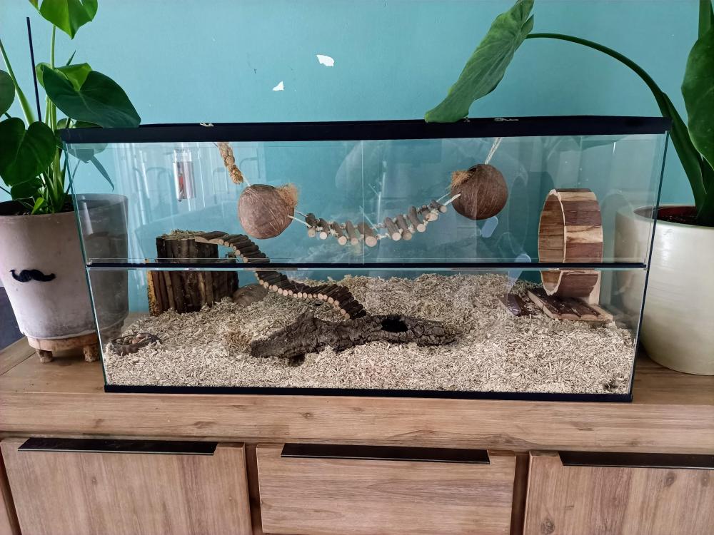 Terrariumkooi voor hamster van glas met schuifruiten zonder plateaus